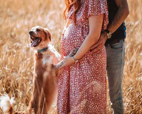 丽水2026借卵费用明细及影响因素解析,正规助孕服务指南